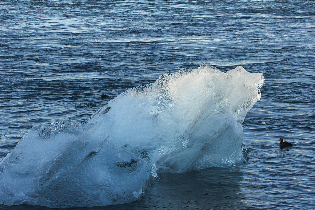 Glacier Lagoon