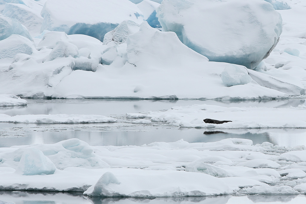 Glacier Lagoon
