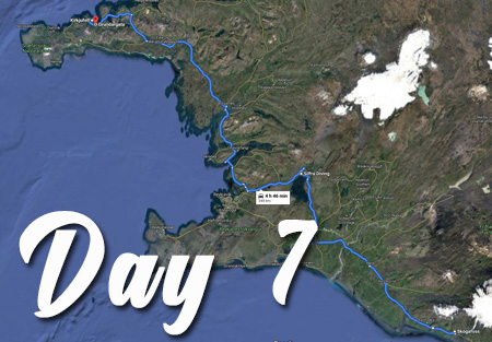 Day 7