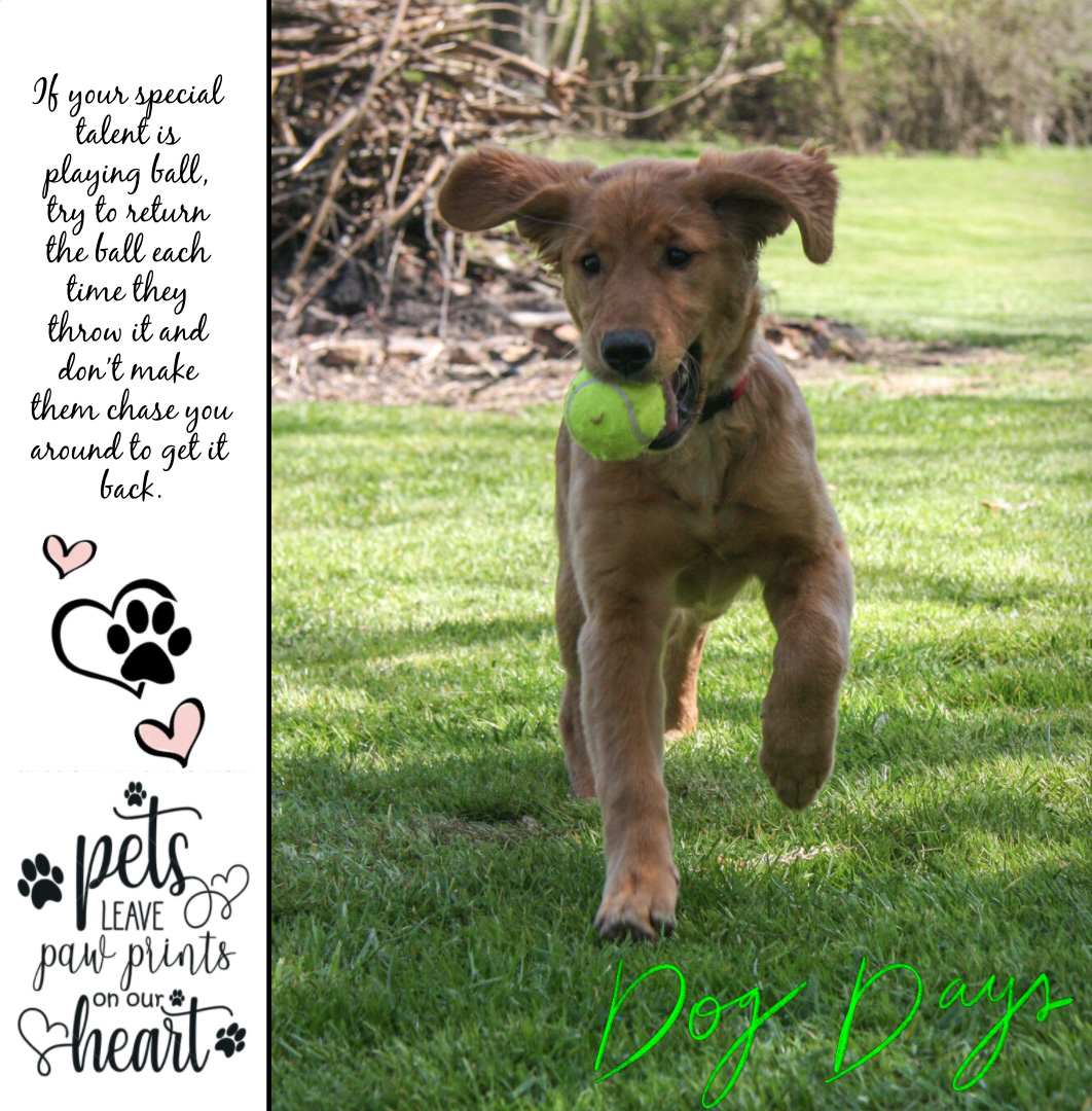 How to Live Your Best Life