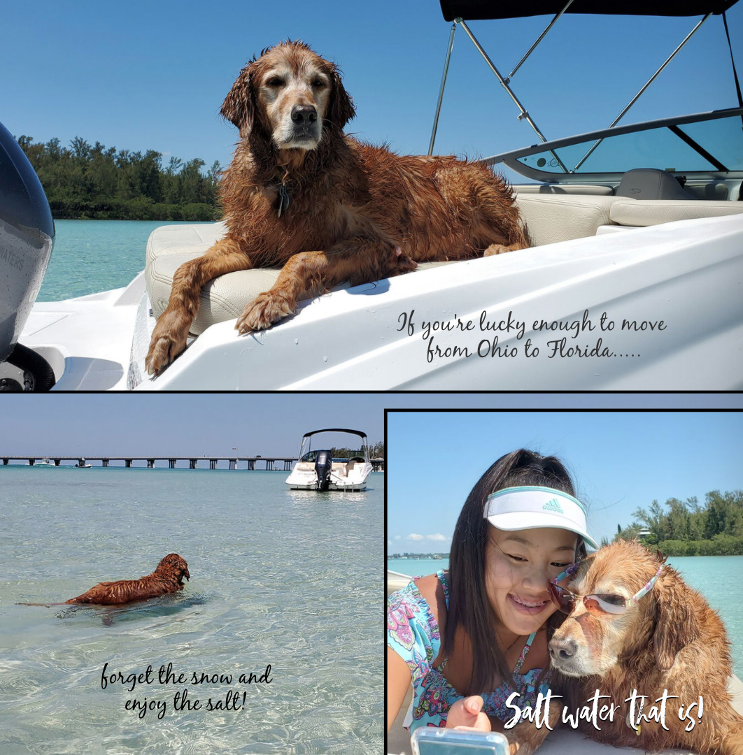 How to Live Your Best Life