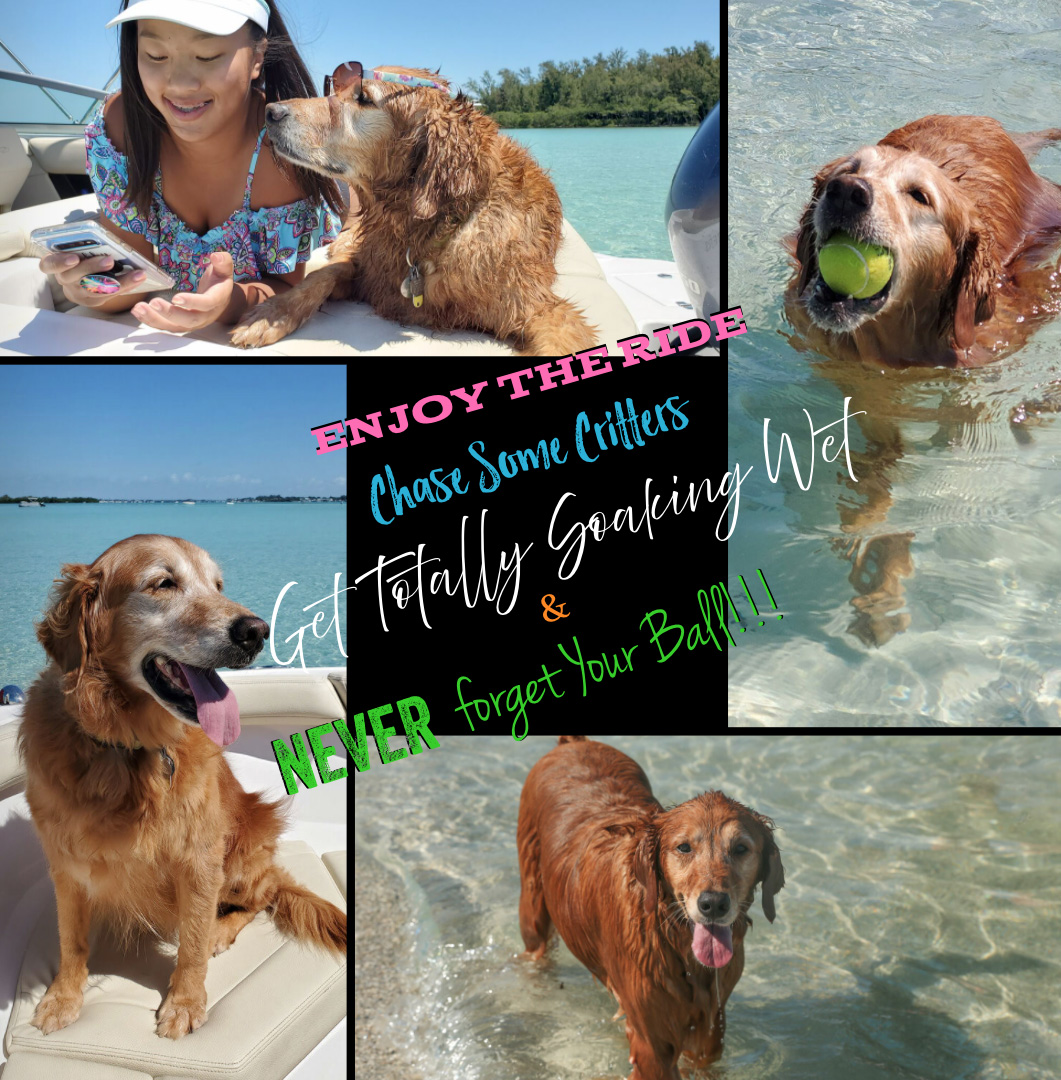 How to Live Your Best Life