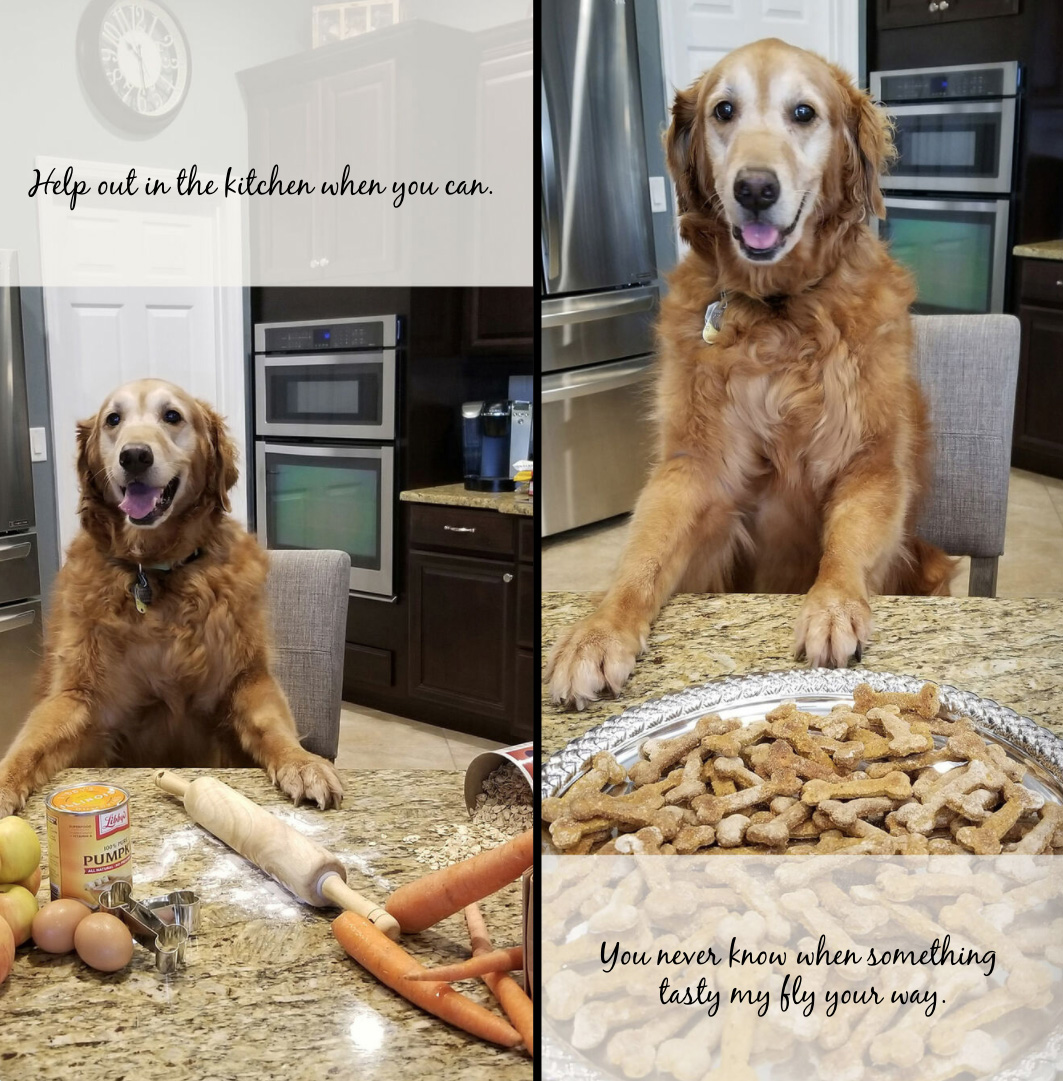 How to Live Your Best Life