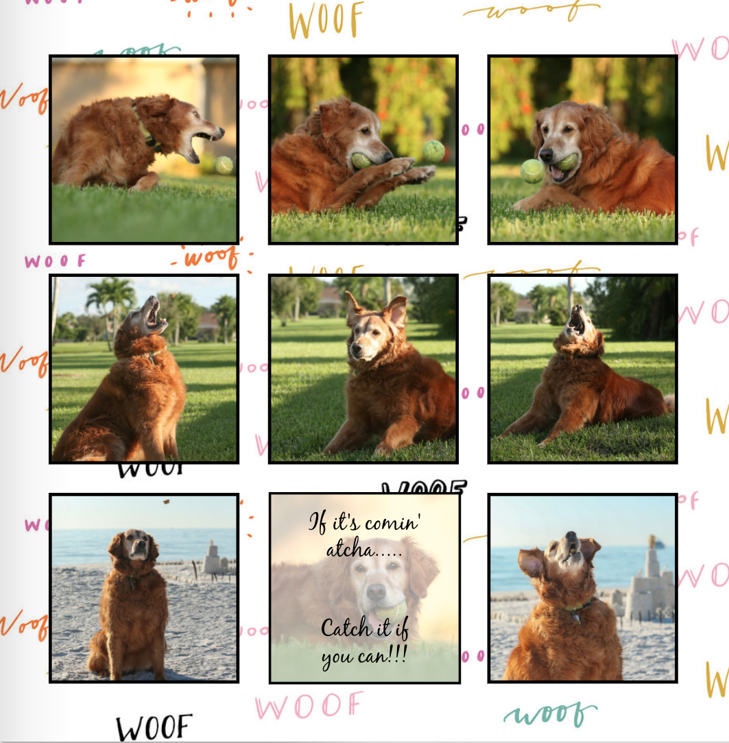 How to Live Your Best Life