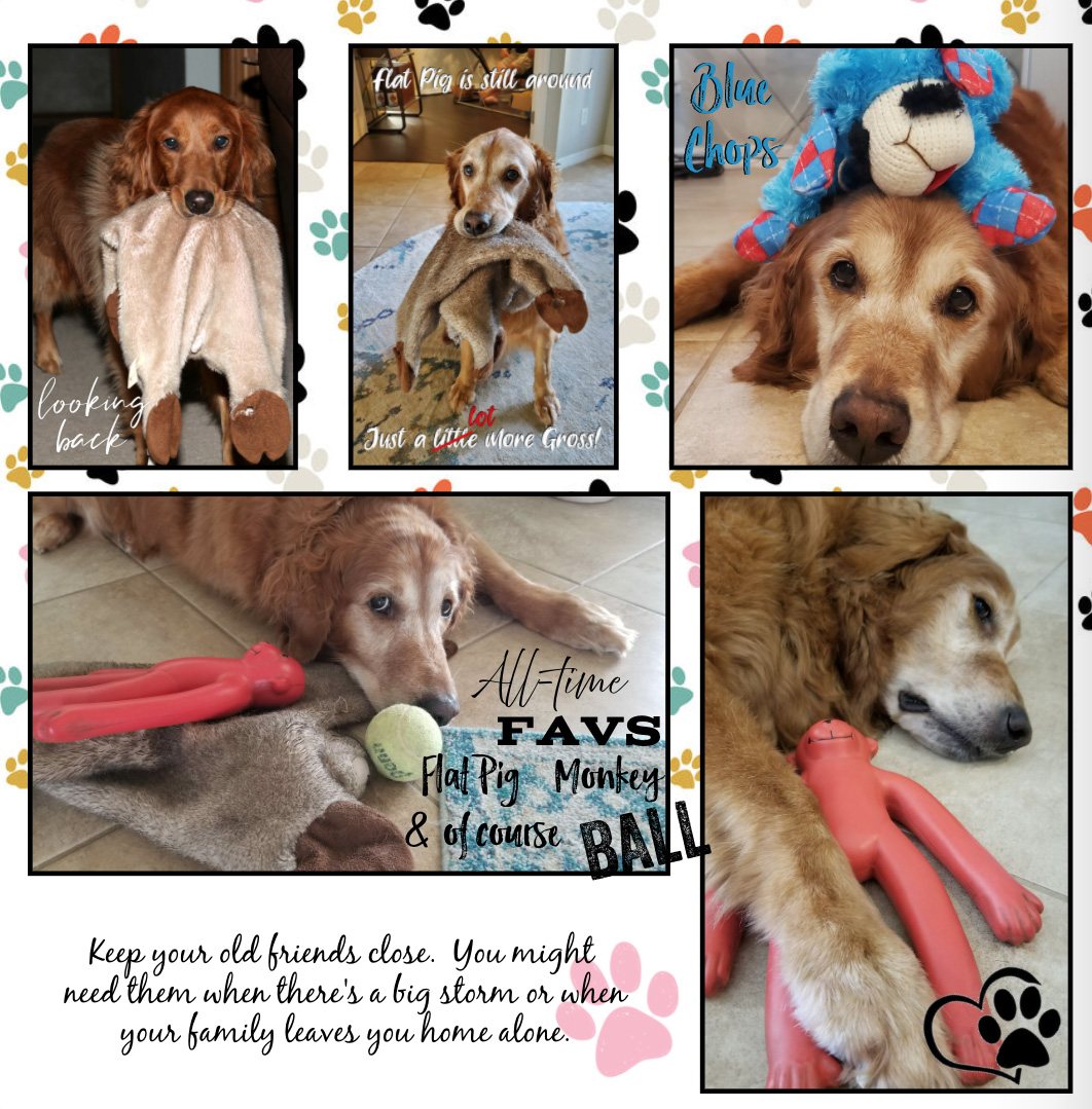 How to Live Your Best Life