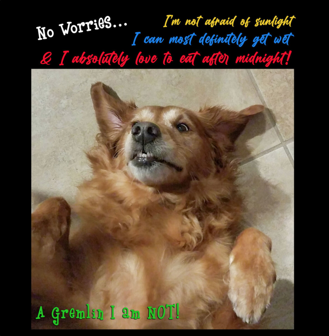 How to Live Your Best Life