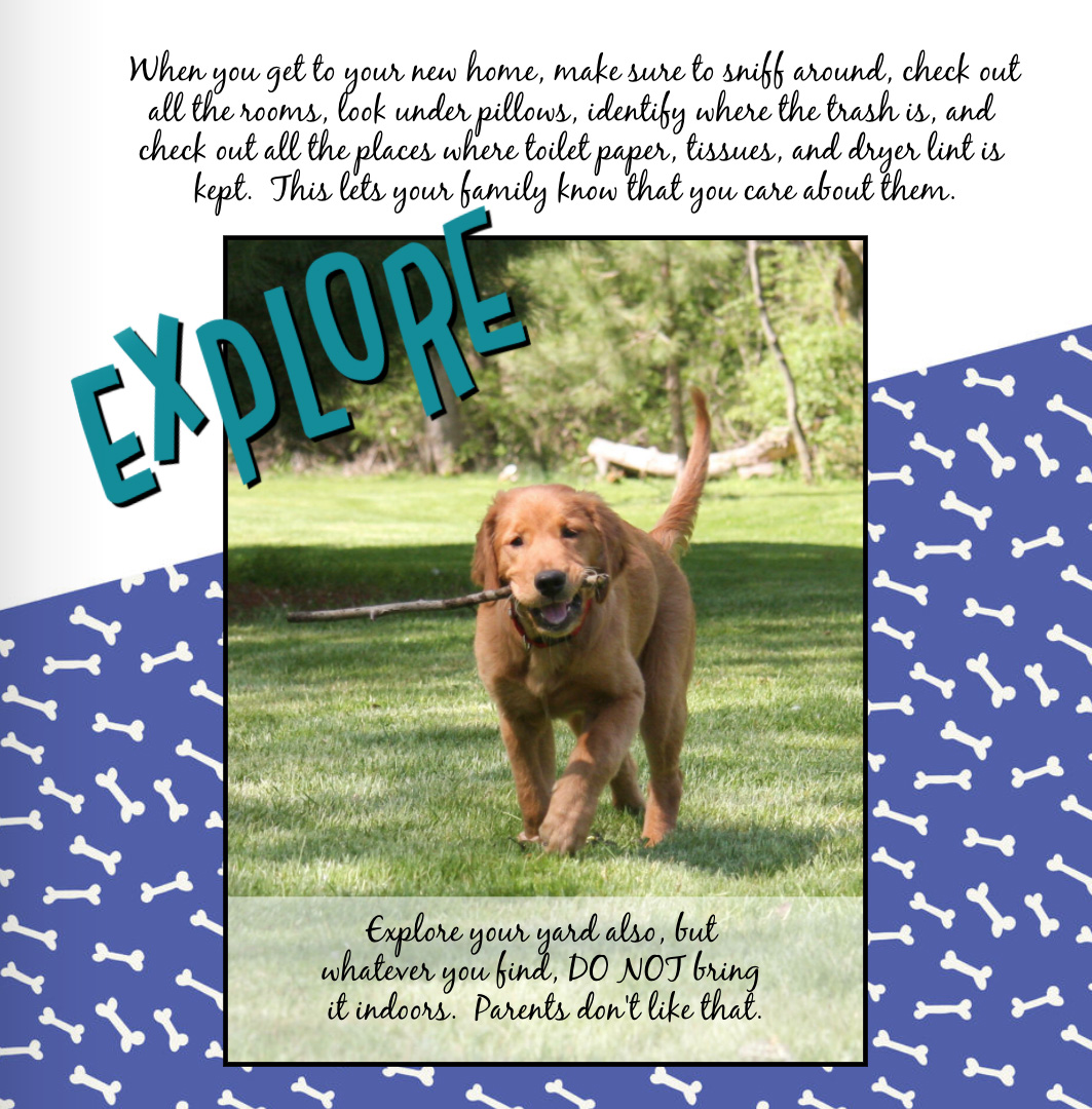 How to Live Your Best Life