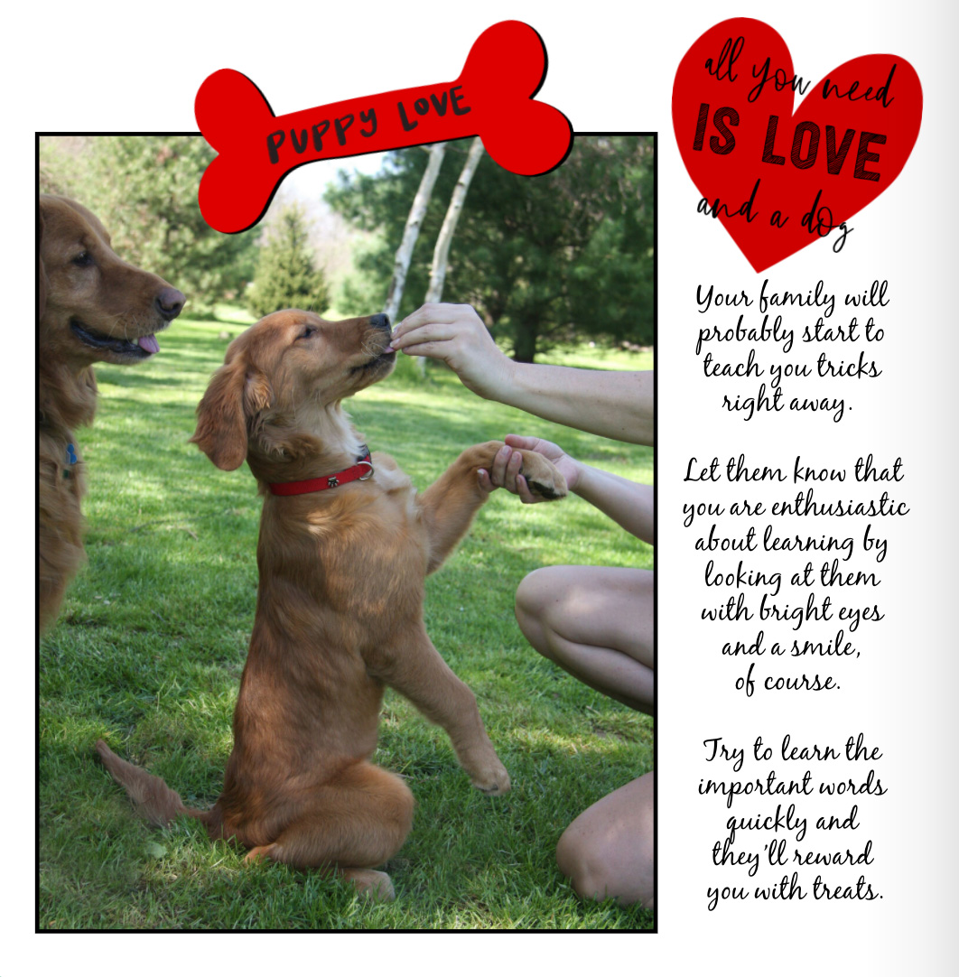 How to Live Your Best Life