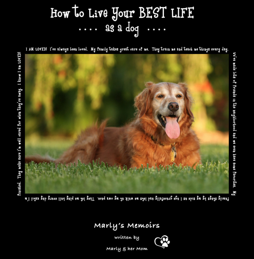 How to Live Your Best Life