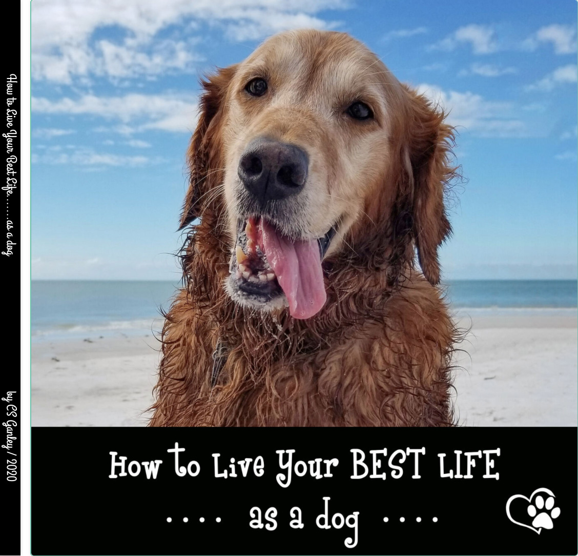 How to Live Your Best Life