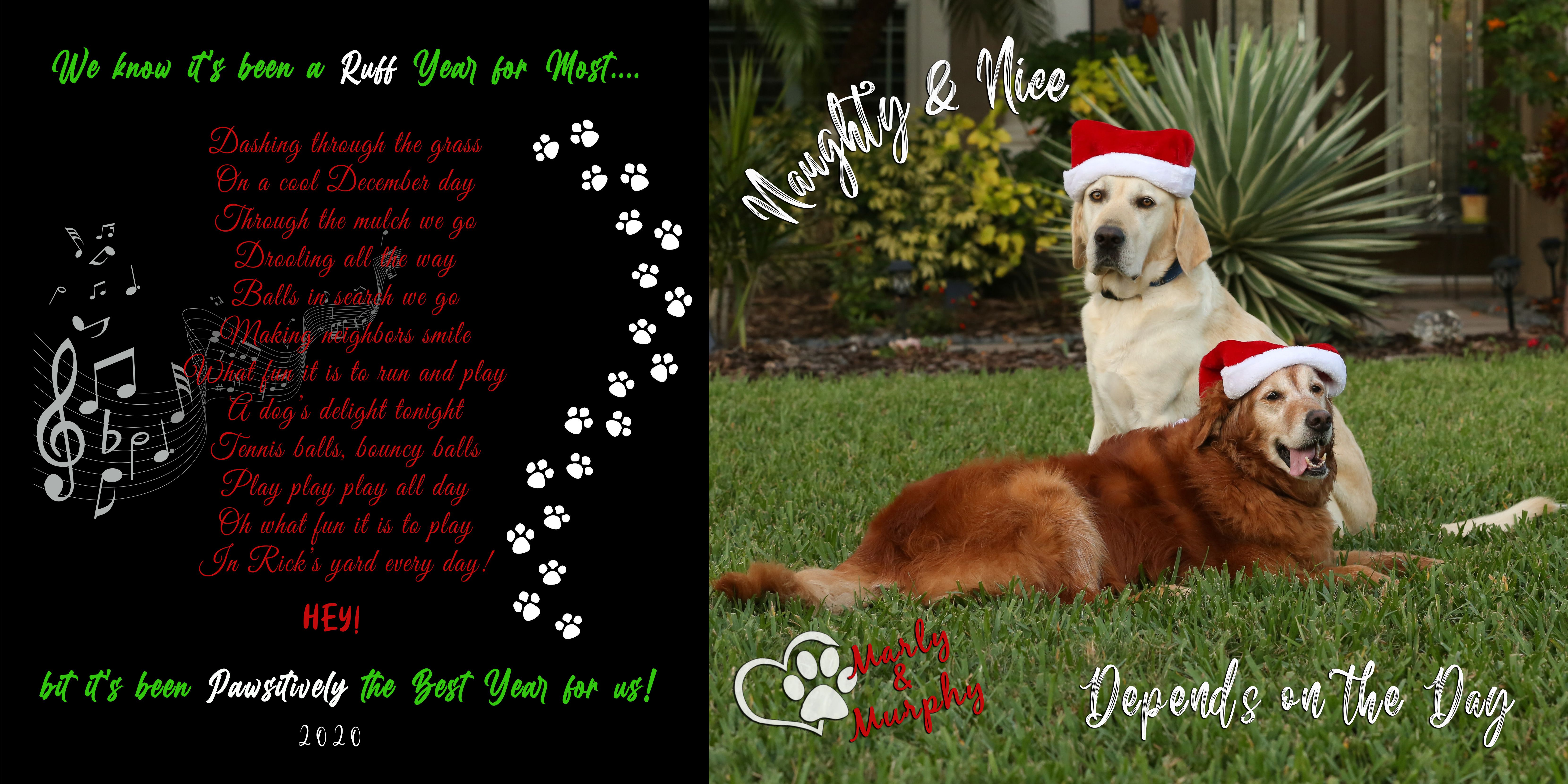 Marly & Murphy Xmas Card