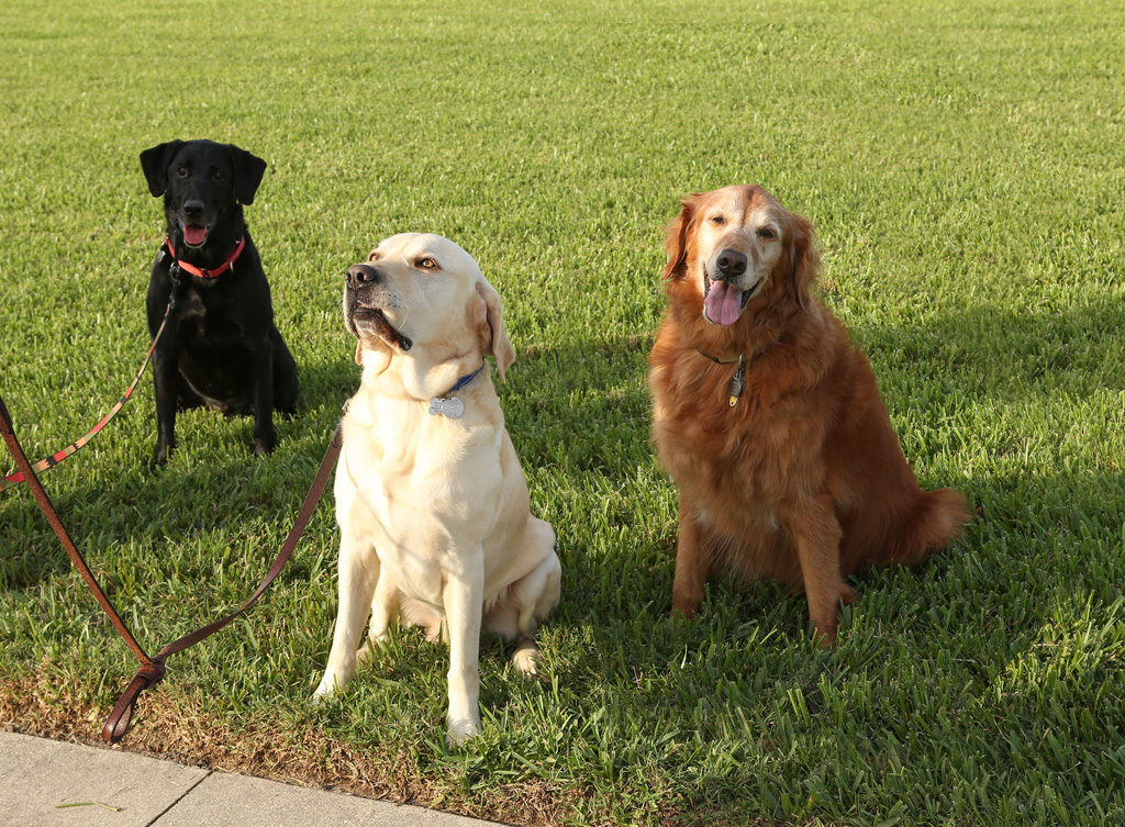 The Neighborhood Kids