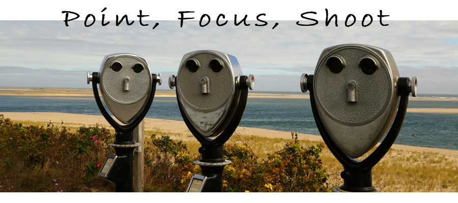 Ganley Photography Panoramic