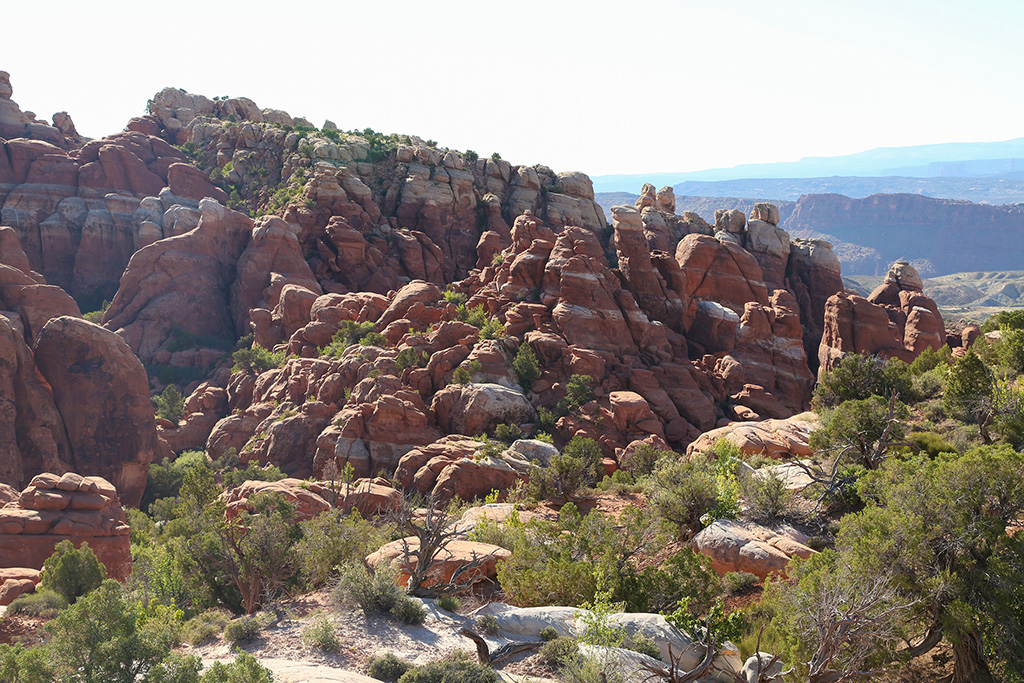 Fiery Furnace