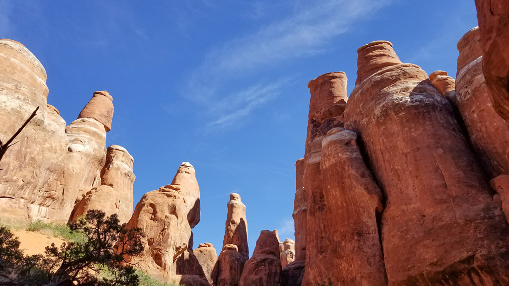 Fiery Furnace