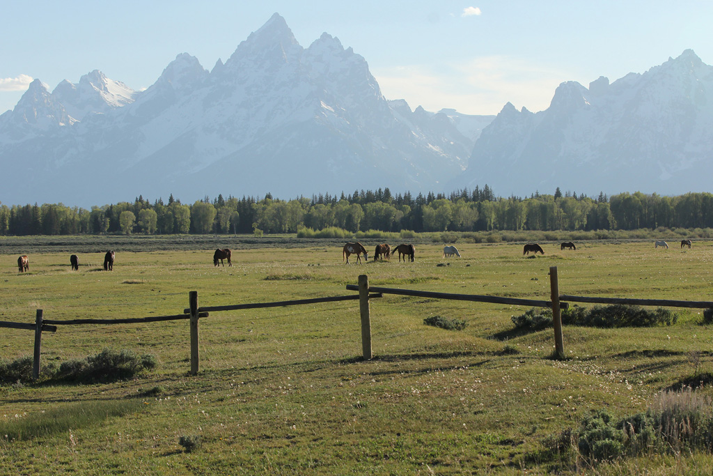 Grand Tetons