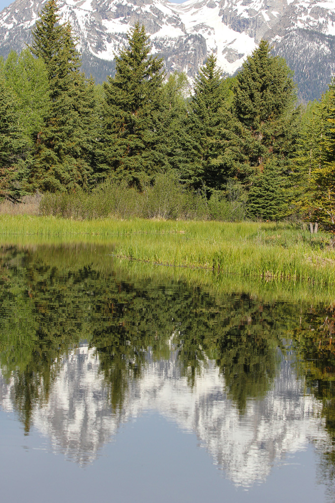 Grand Tetons
