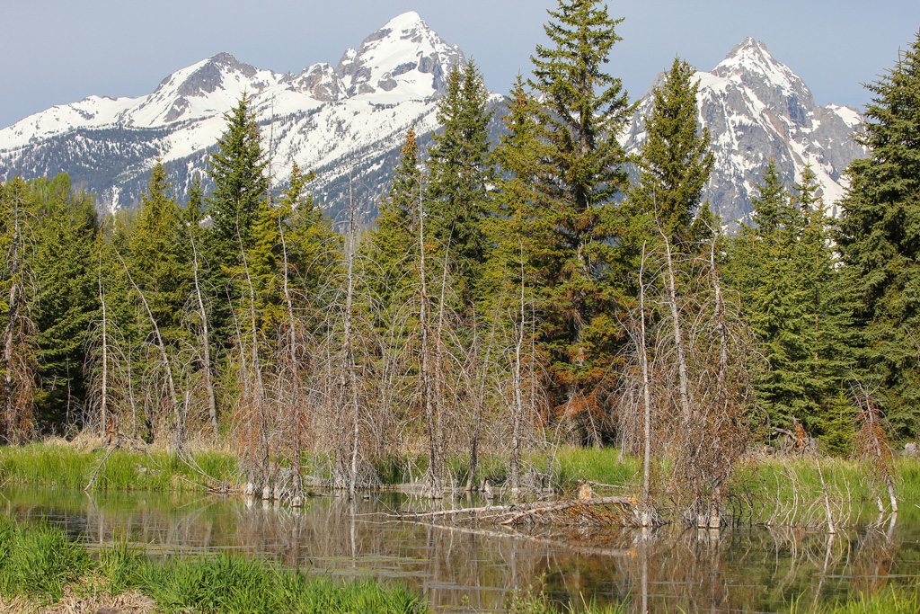 Grand Tetons