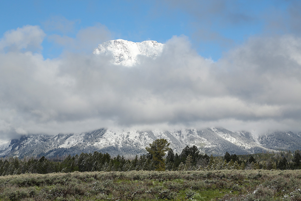Grand Tetons