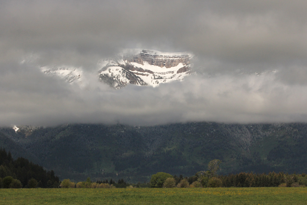 Grand Tetons