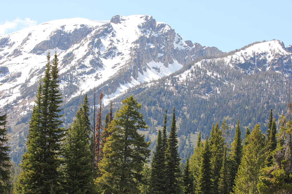 Grand Tetons